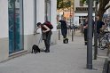 Welpen im Drehkranz vom KVB Bus eingeklemmt Koeln Chlodwigplatz P02